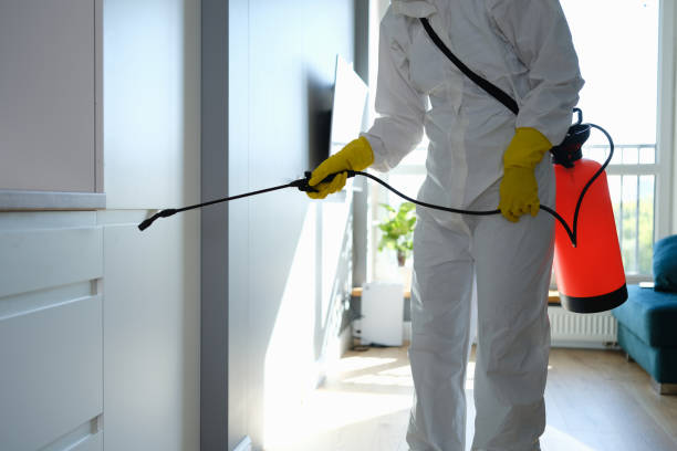 Best Attic Mold Remediation in Gretna, VA