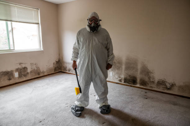 Best Mold Testing and Inspection Services in Gretna, VA
